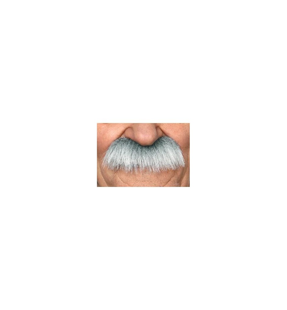 -BIGOTE PELO CANOSO