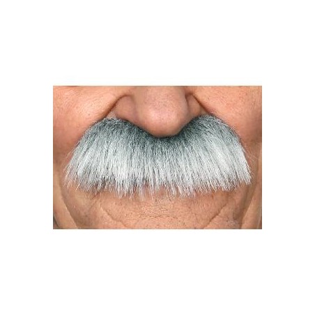 -BIGOTE PELO CANOSO