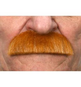 -BIGOTE PELO PELIRROJO