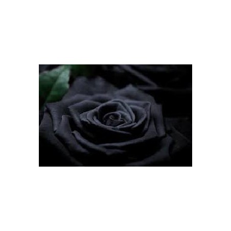 FLOR FLAMENCA GRANDE NEGRA 17*15