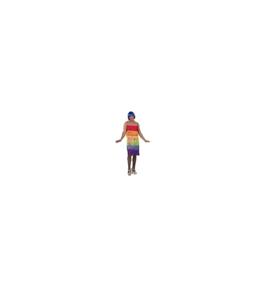 -DISFRAZ VESTIDO FLECOS ARCOIRIS 54