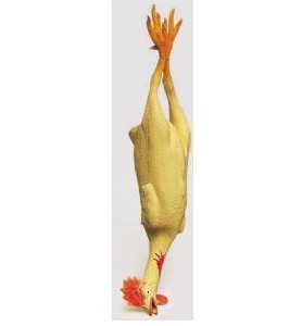 -POLLO MUERTO 54CM